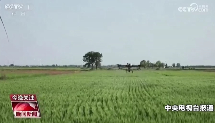 央视实地采访林江农场