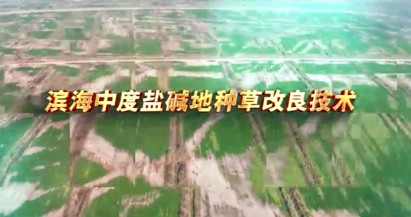 纳茉农场引进农科院盐碱改良技术