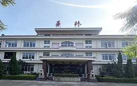 2006年